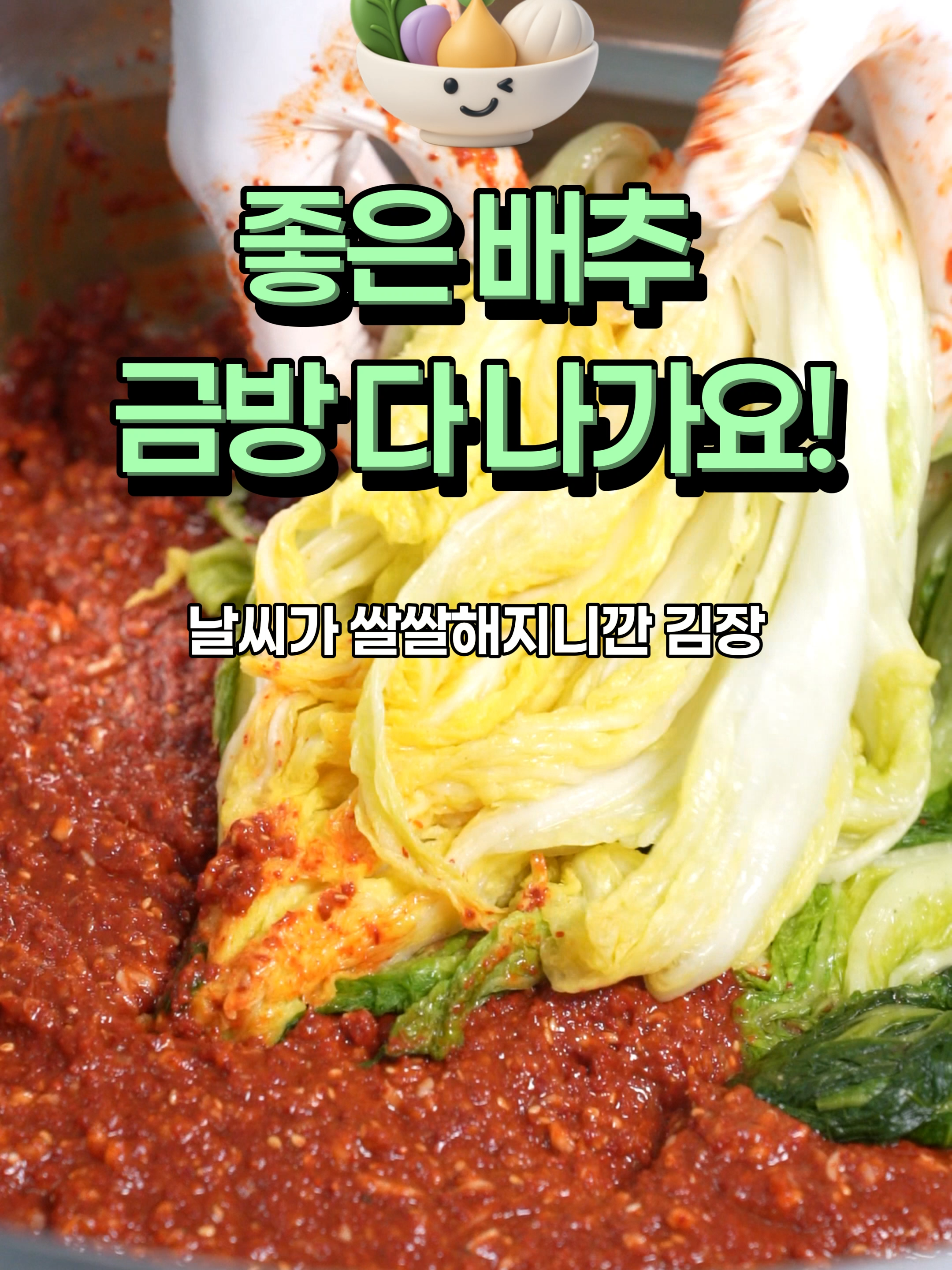 @아삭-괴산절임배추