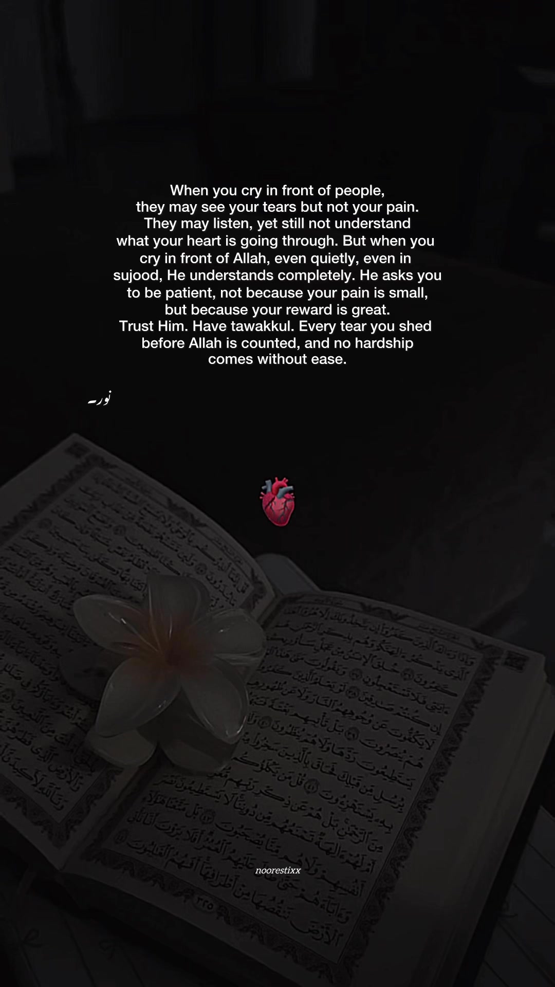 @نور🦢