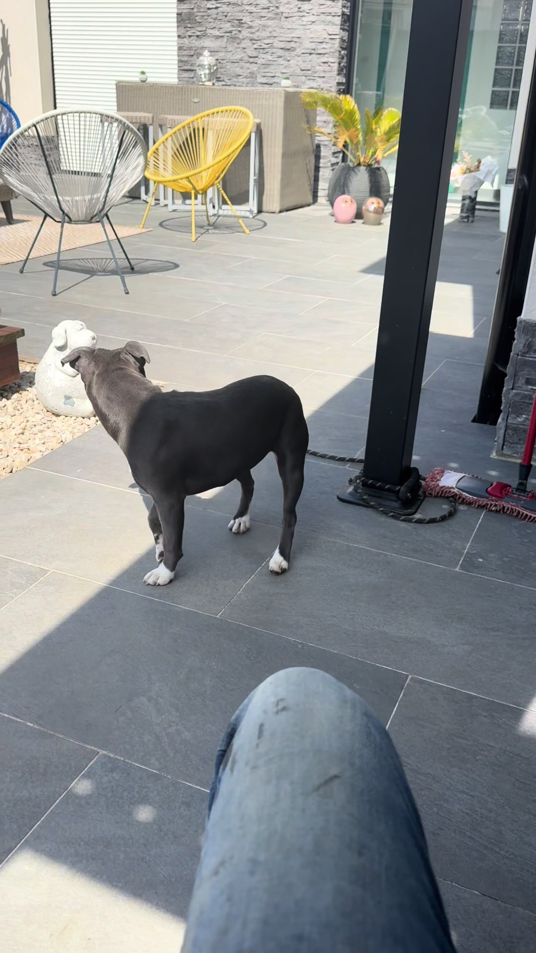 @staffy Alya