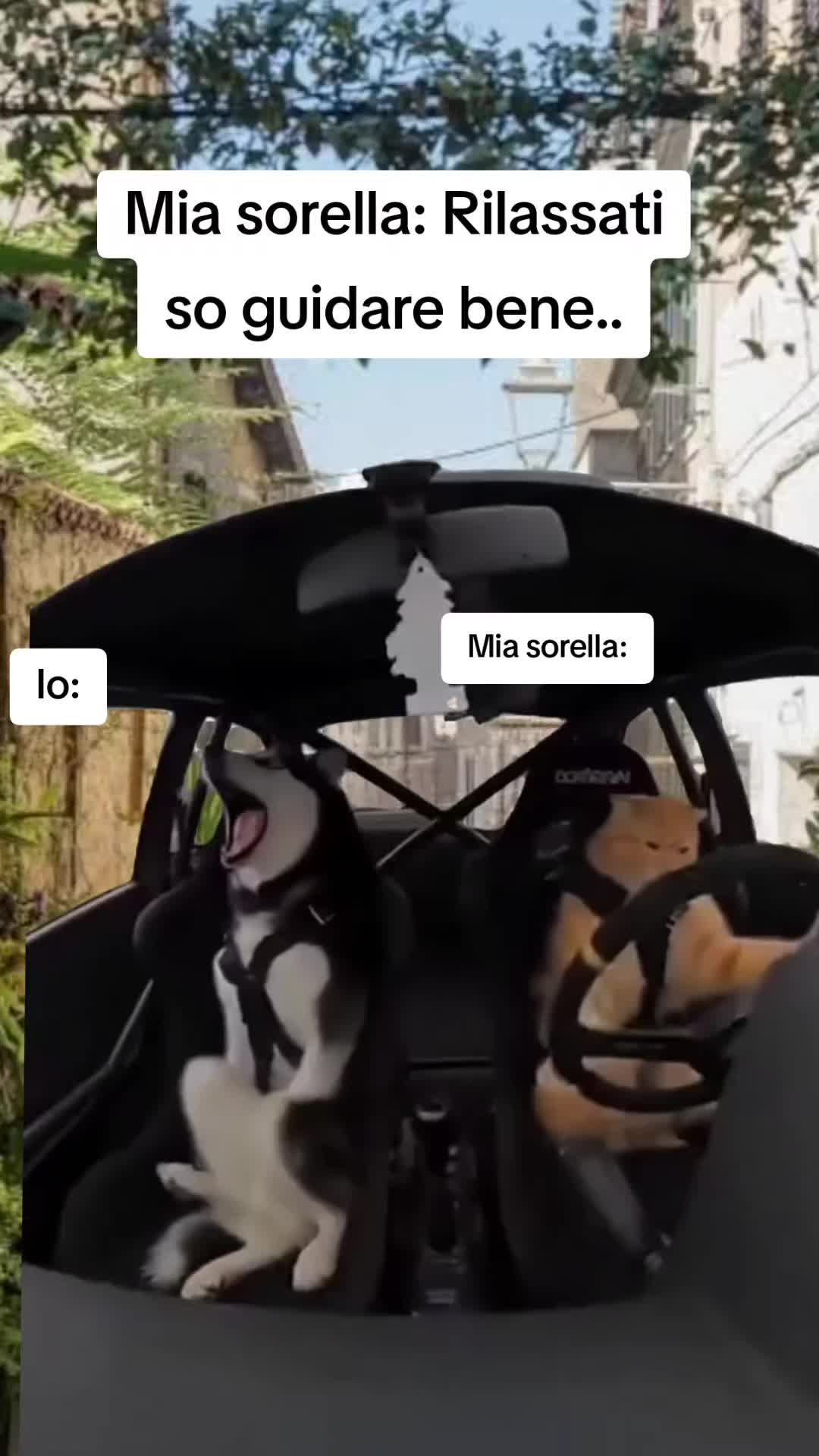 @Nina