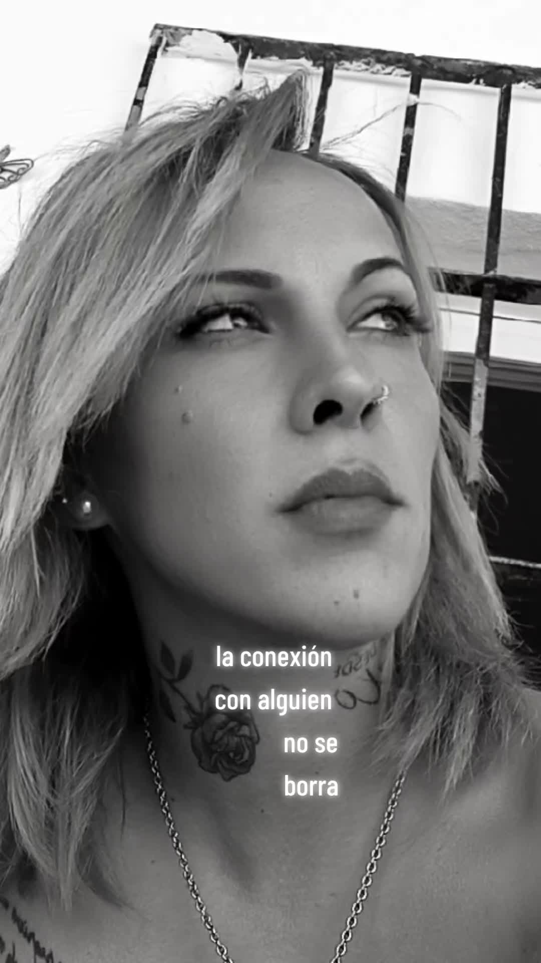 @Carmen WiLly Fog