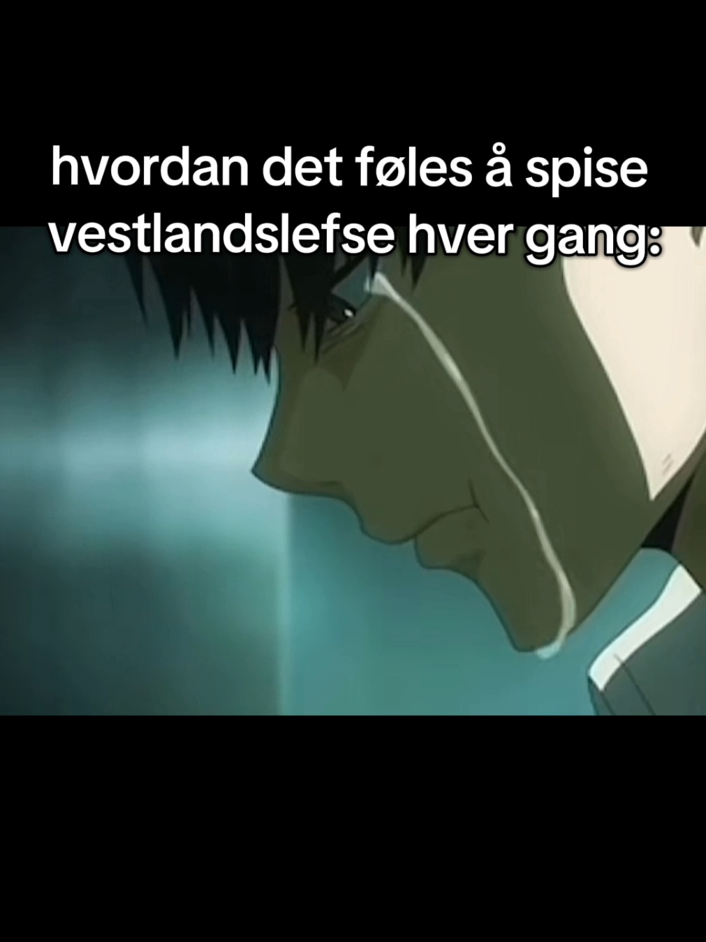 @vestlandslefselover