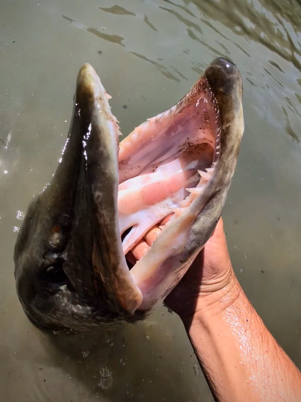 @Thomas.j_fishing