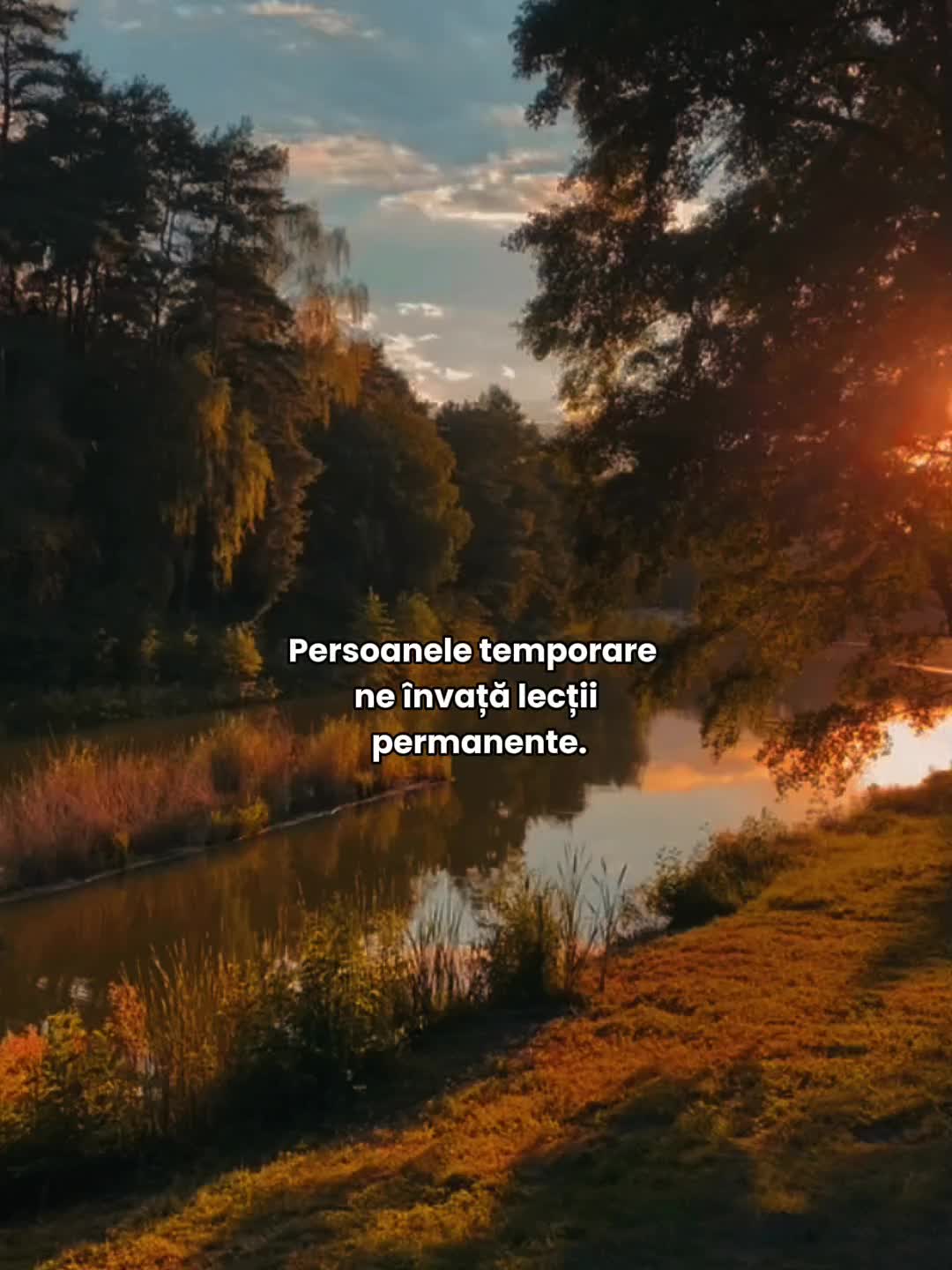 @🌺 𝑨 𝒏 𝒂 ꨄ︎