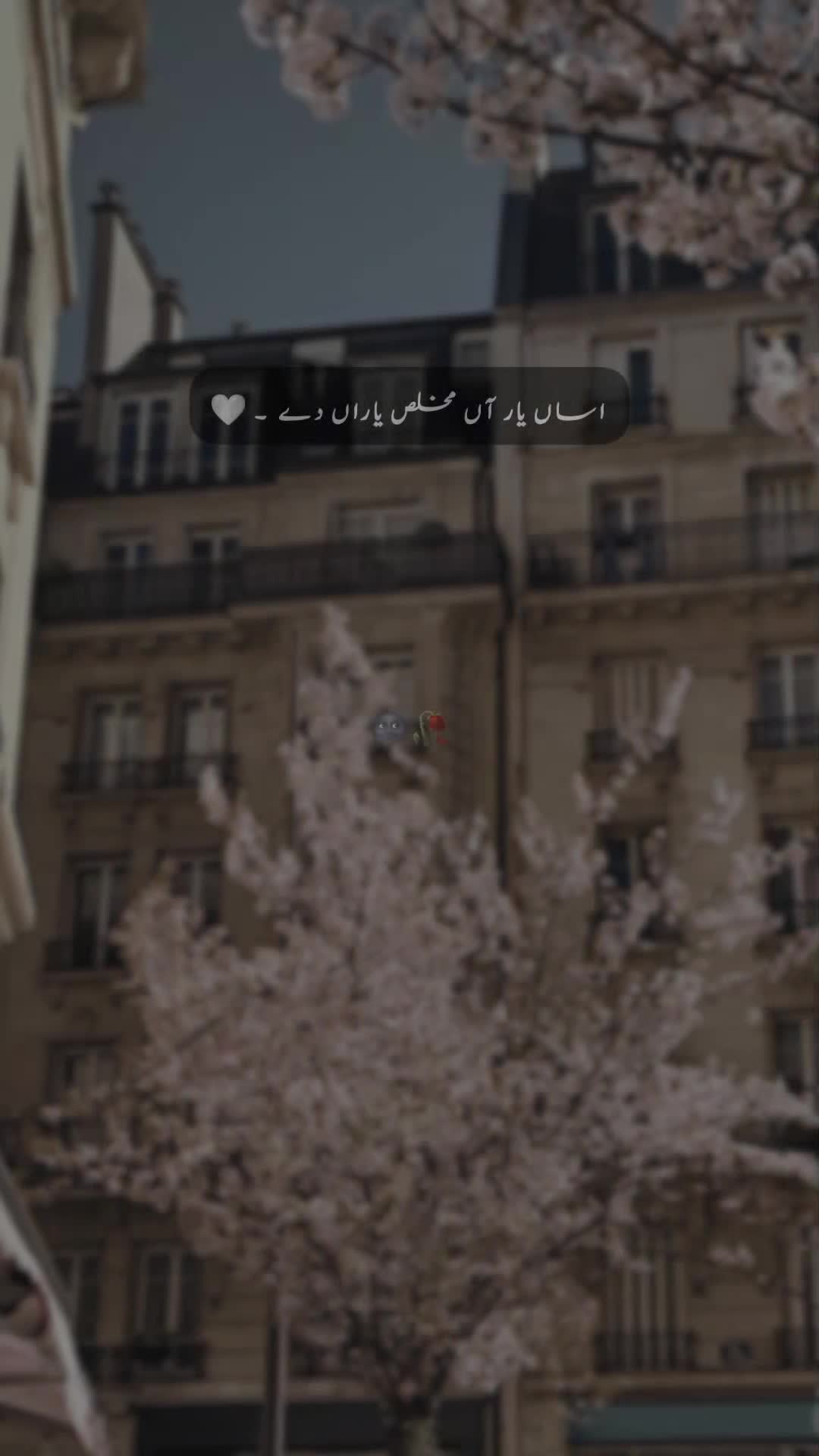 @𝐒 𝐚 𝐌 𝐢 🍂🫀