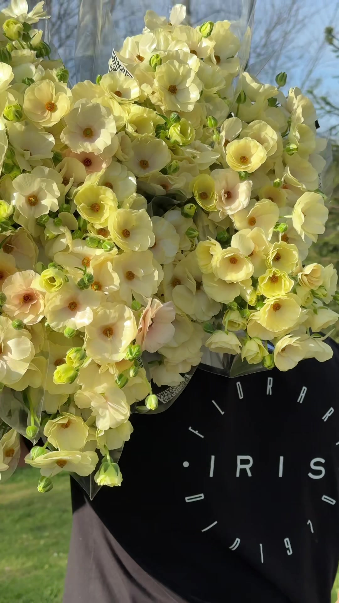 @Floraria Iris
