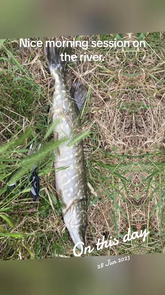 @Mental elf fishin