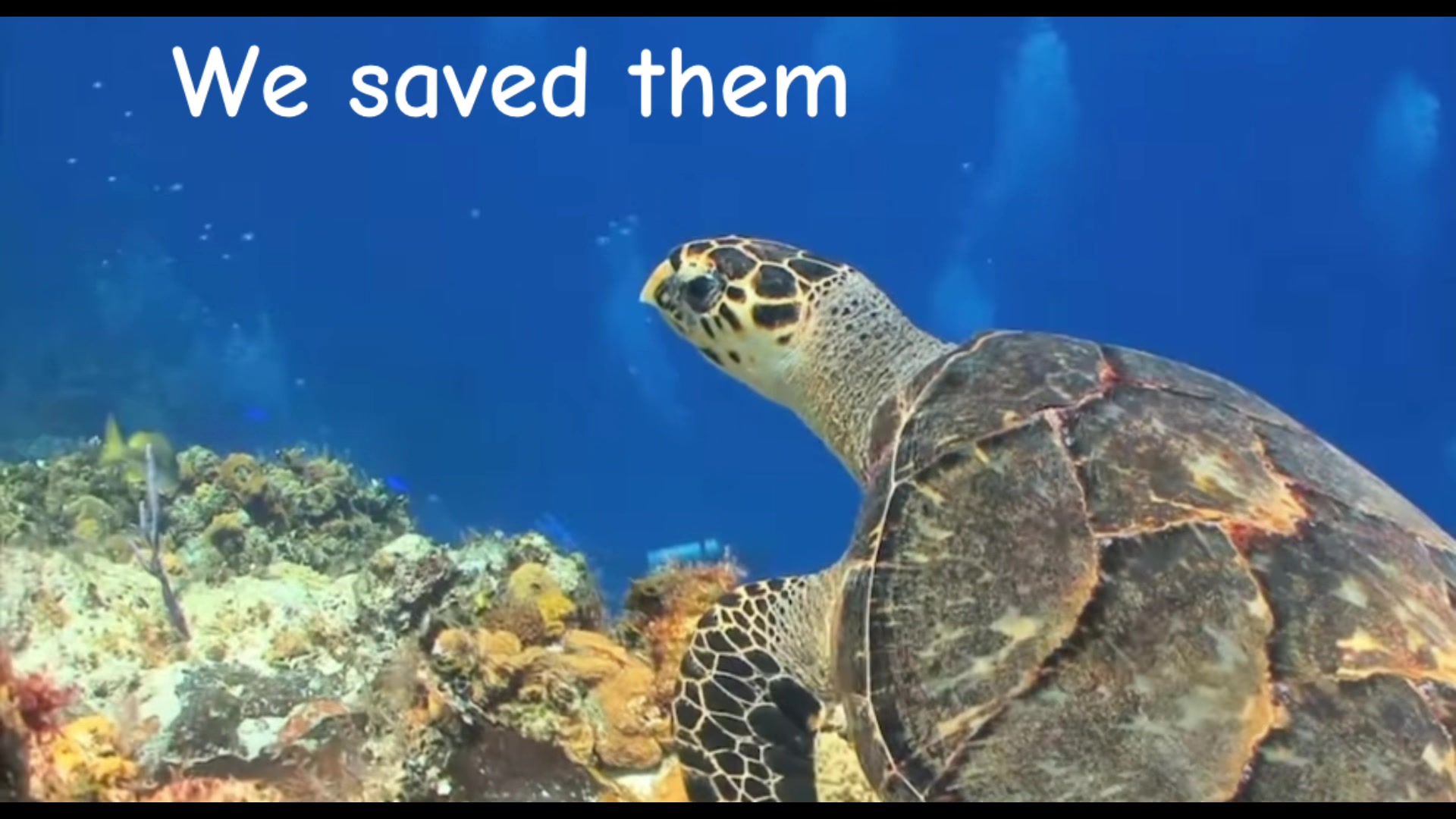 @save the planet
