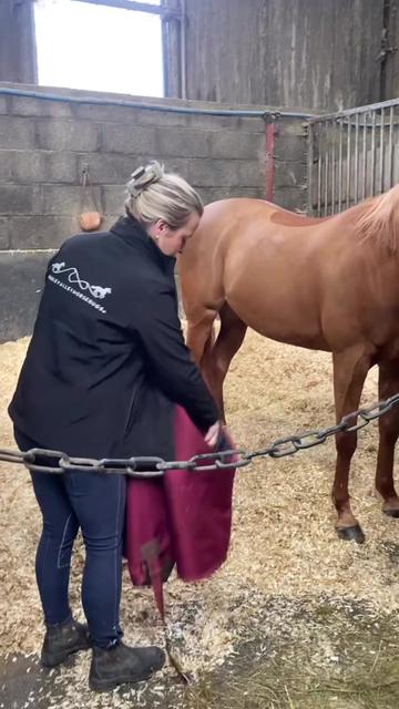 @RibbleValleyHorseRugs ®️