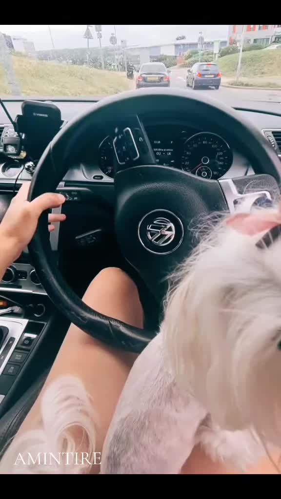 @siminicasimi