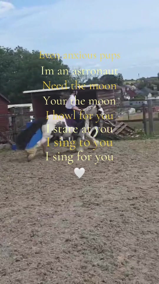 @Emilyy🐎🐴💗