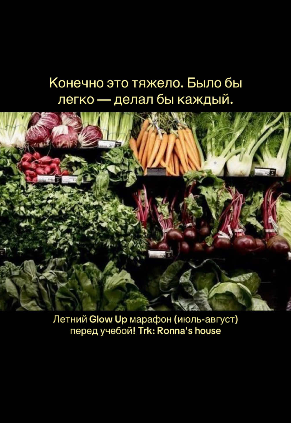@⋆˚࿔ Ronna 𝜗𝜚˚⋆