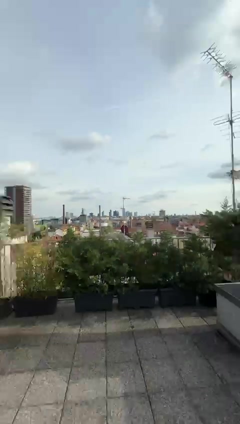@DaxterVlla💎