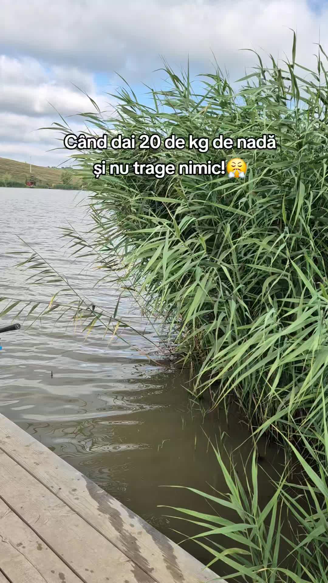 @Nicusor Tupea
