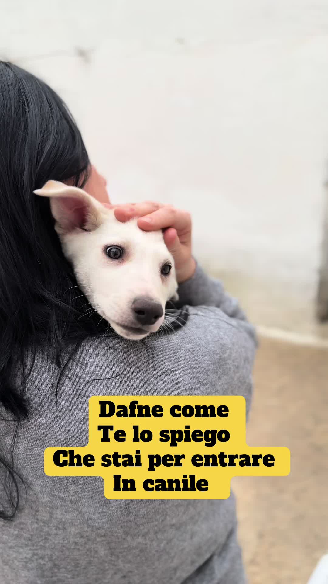 @Solo per amor loro 🐾🐾🐾🐾