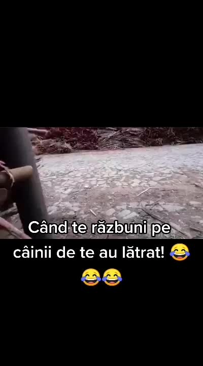 @cosminvl6⁉️