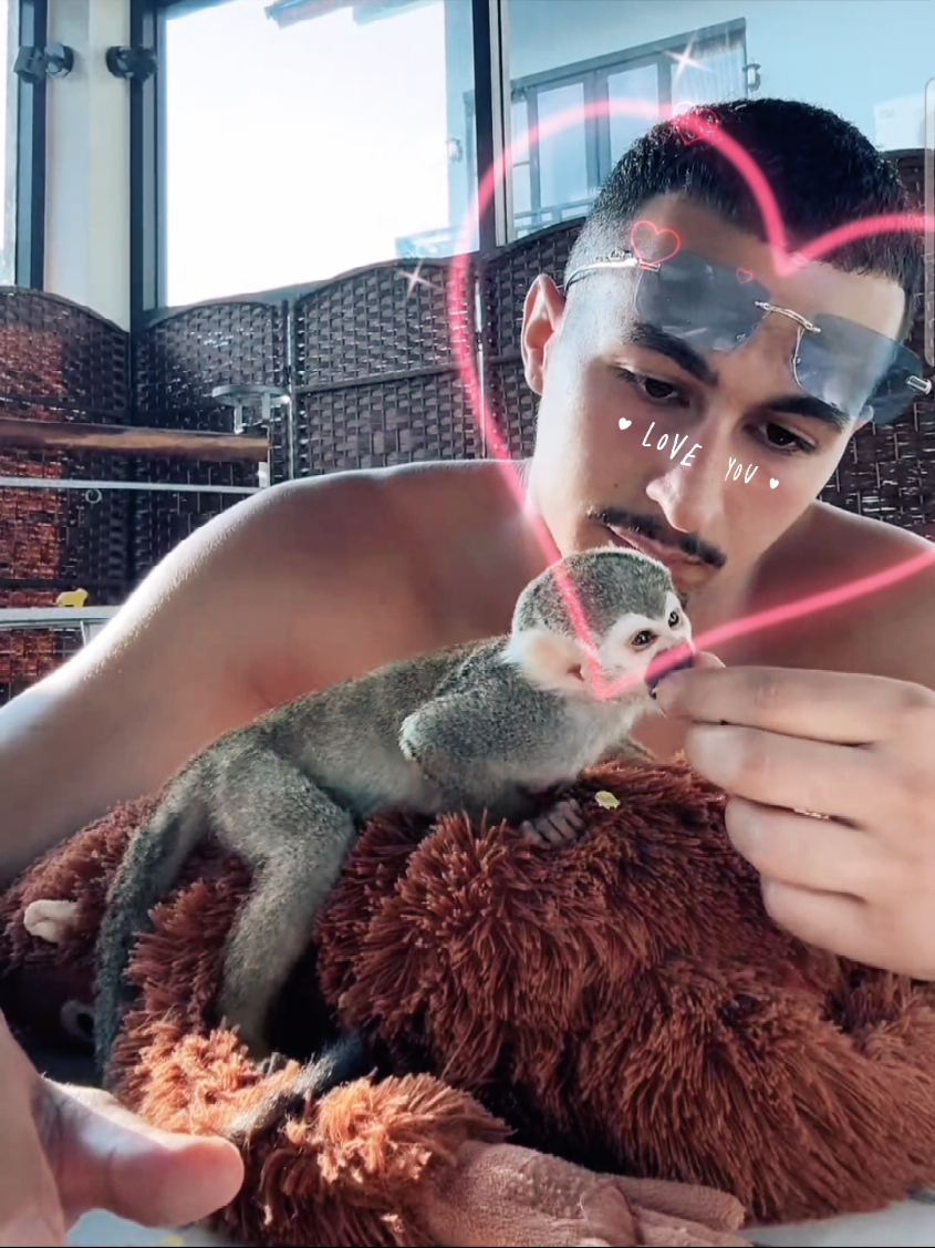 @🐒 HappyBabyMonkey 🐒