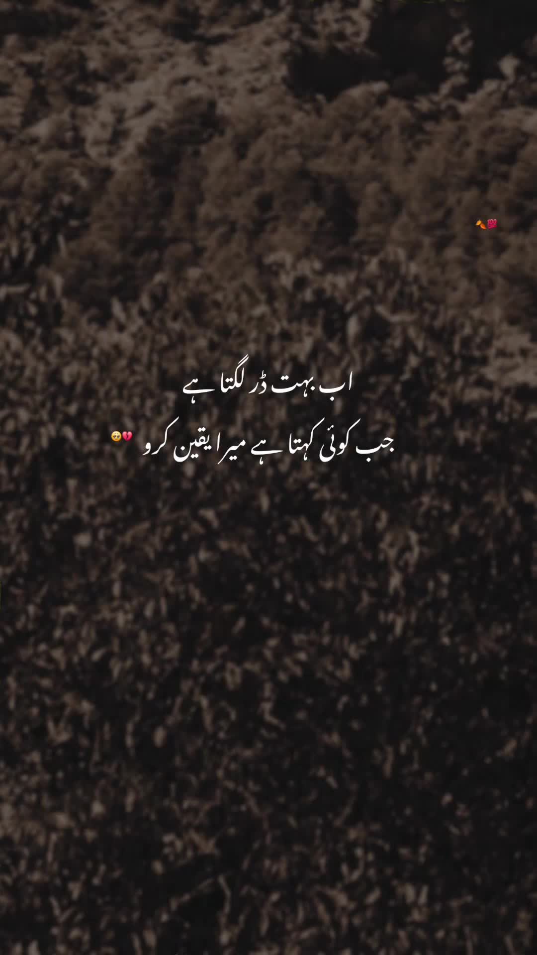 @𝘼𝙮𝙖𝙣♠
