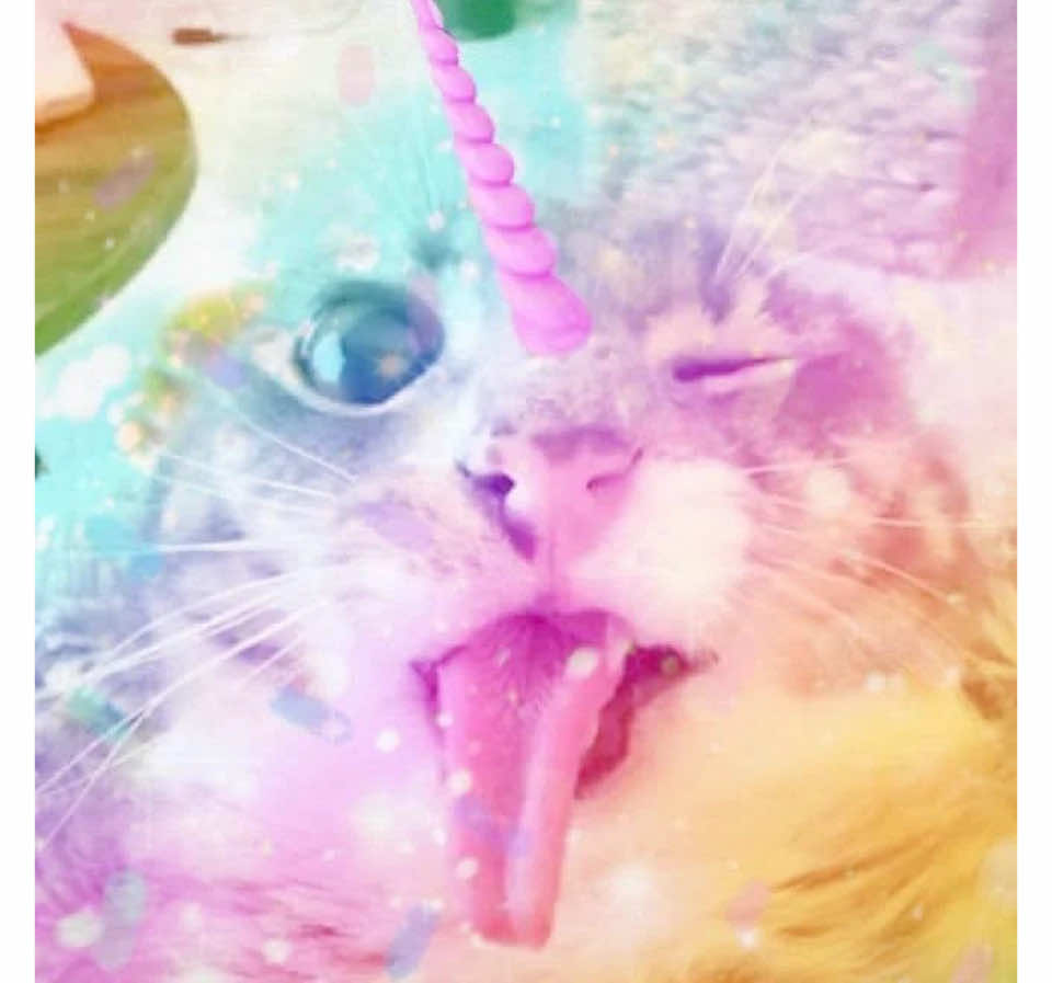 @𝒾𝓏𝓏𝓎🪽