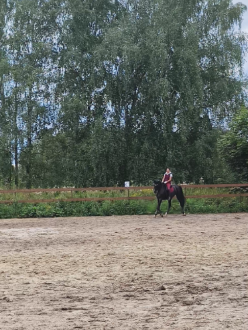 @kskcasper
