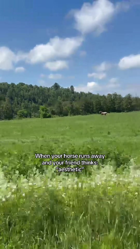 @Kennedy Beaulieu