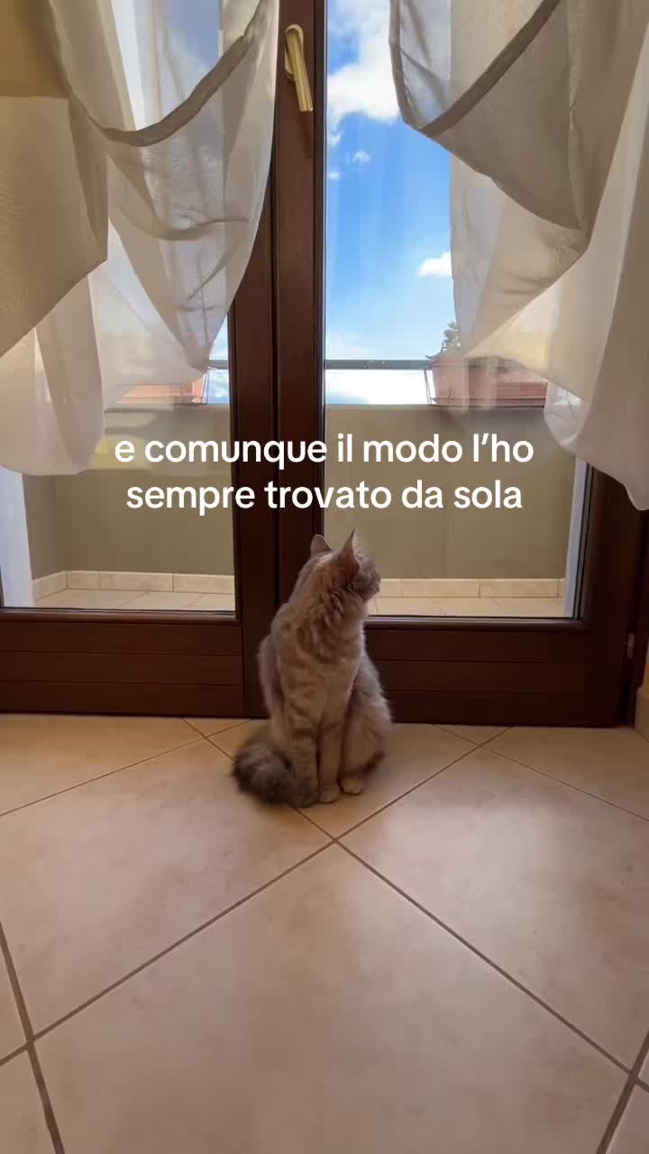 @Federica