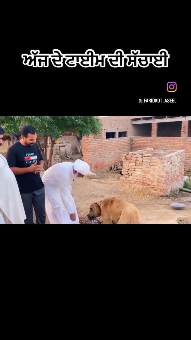 @چیمہ سرکار 🚩
