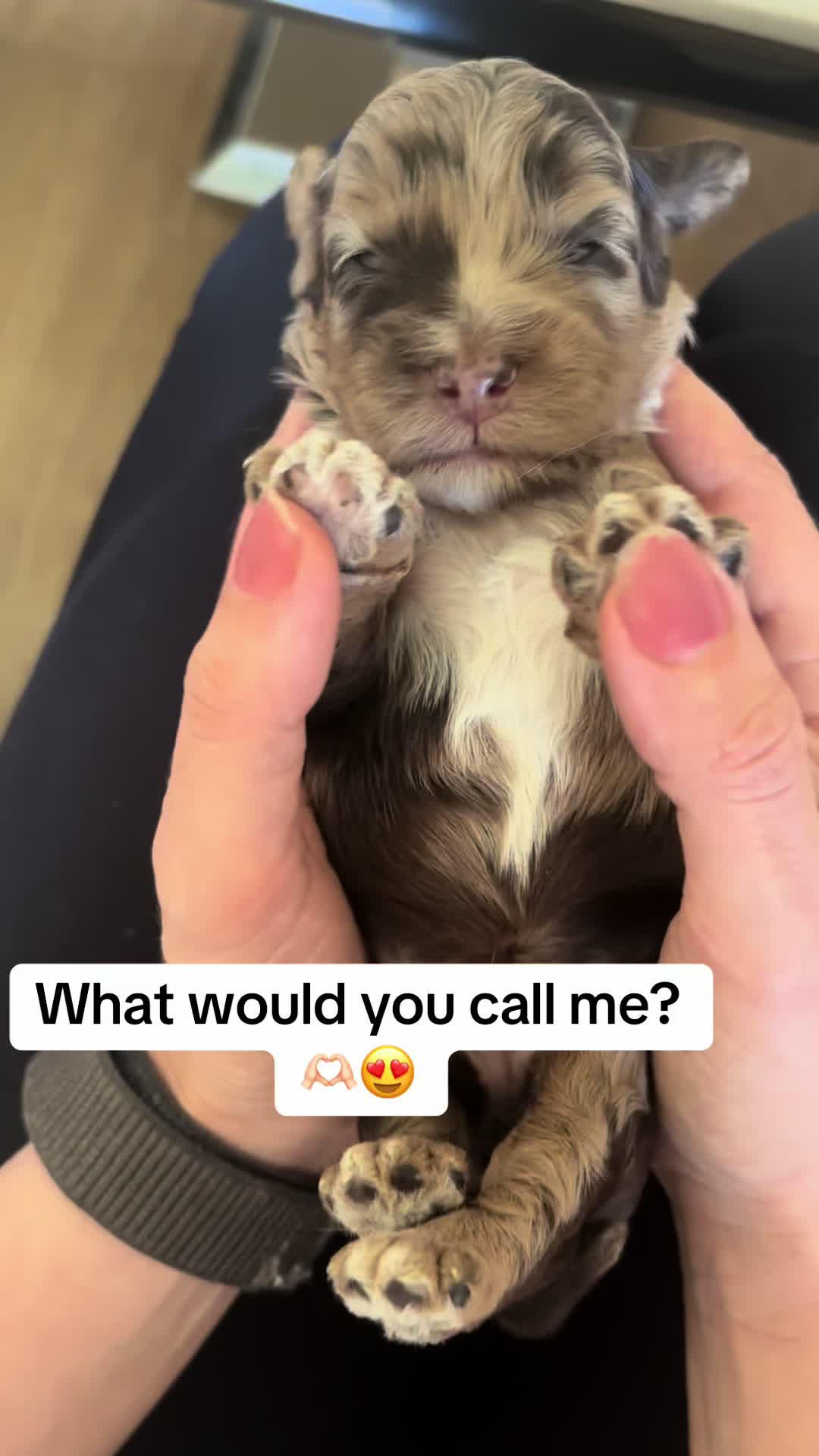 @Our furry babies