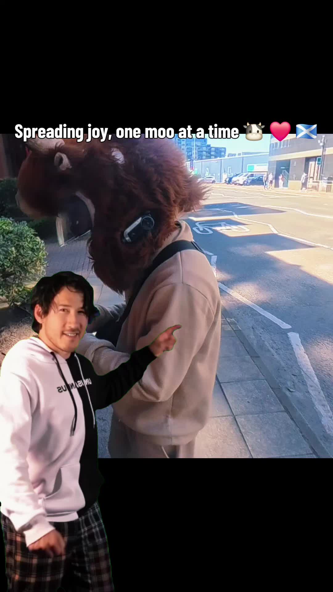 @Highland Cow Rider 🐮🏍