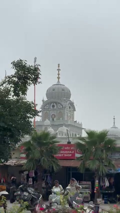 @pulpukhta_sahib
