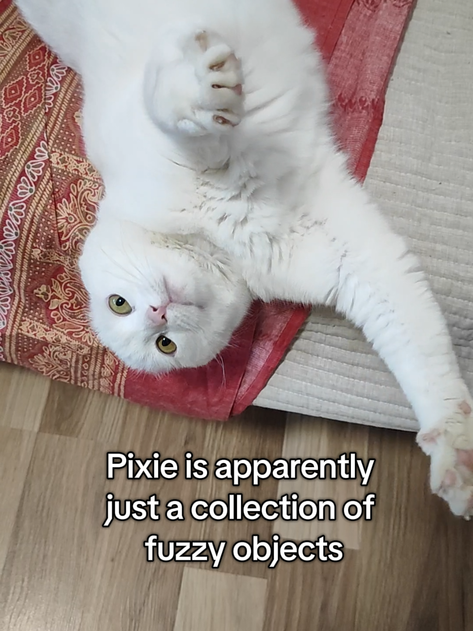 @Fluffy and Pixie