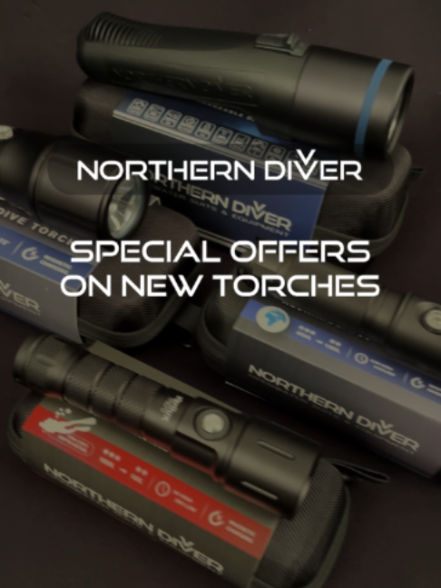 @Northern Diver