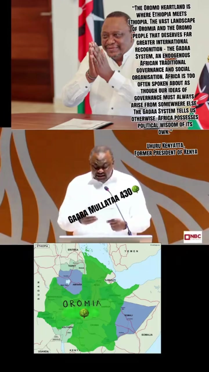 @Takitti Abbaadhoo 430🌳
