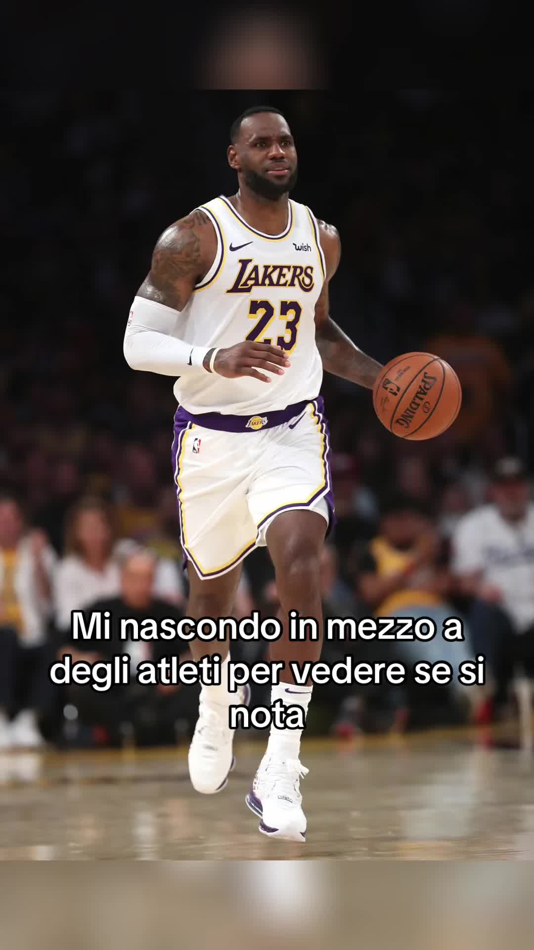 @Ciquetinho