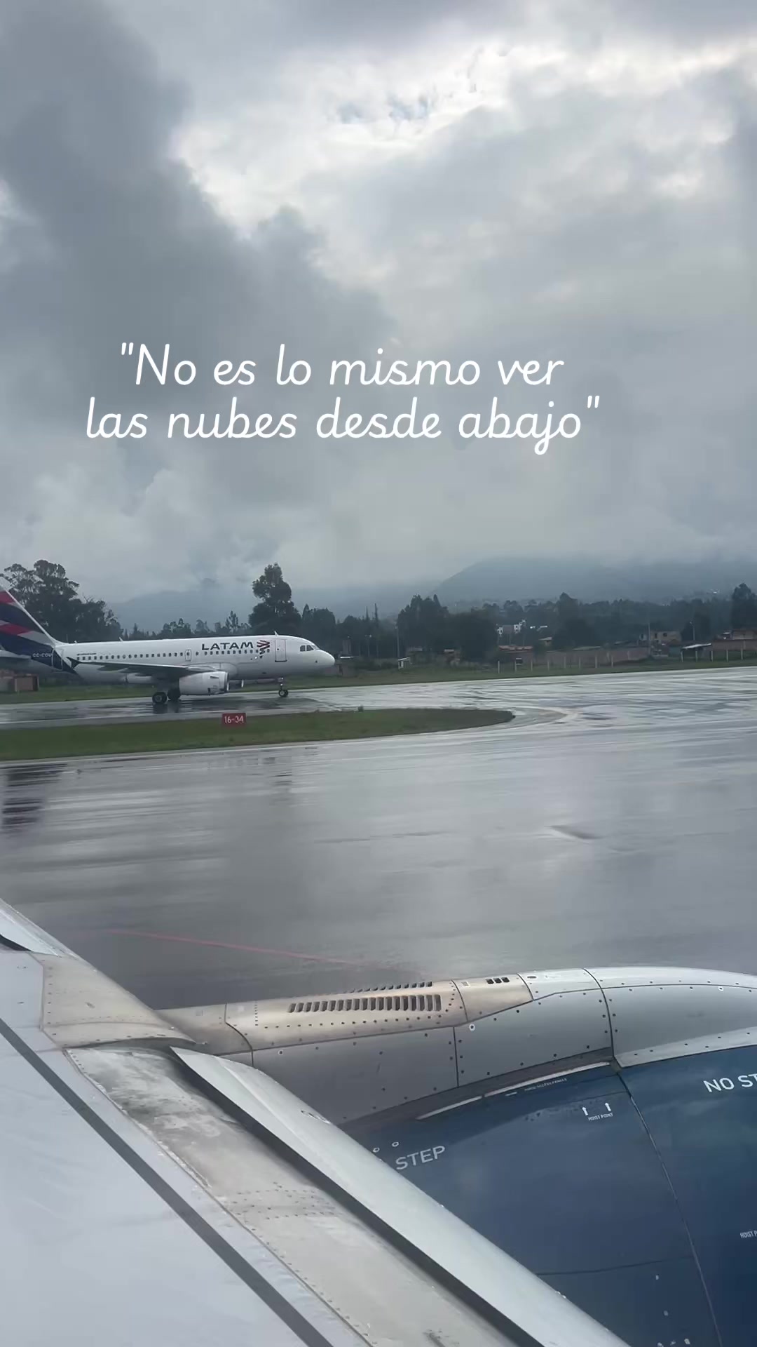 @alemedinag2405