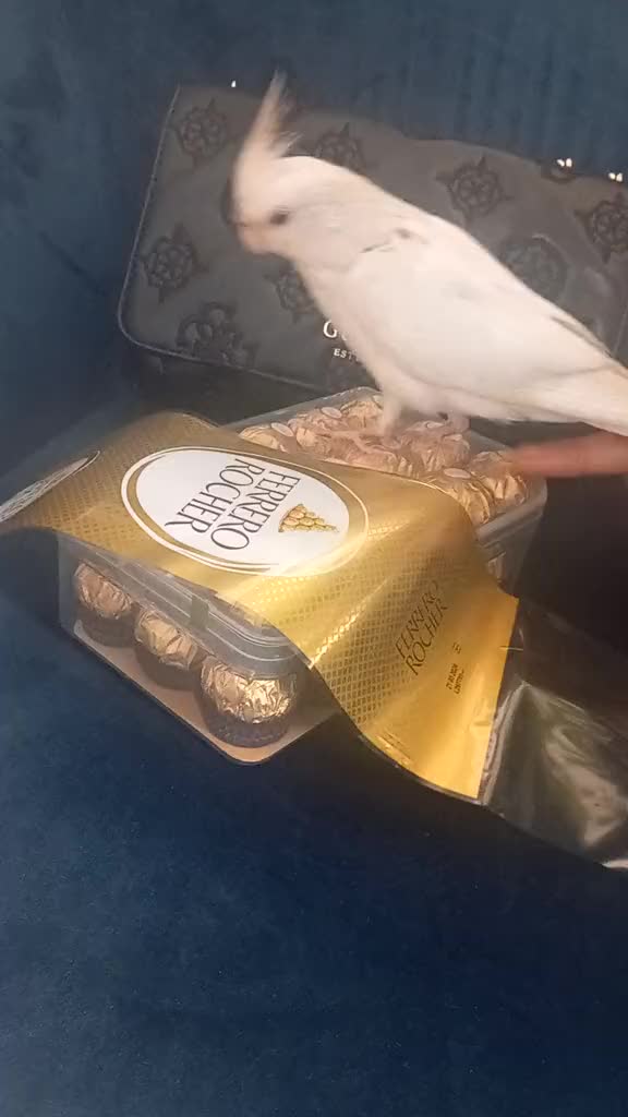 @أمنيات سرقها القدر.