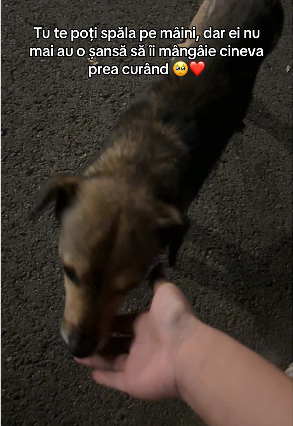 @_aadriana_maria_