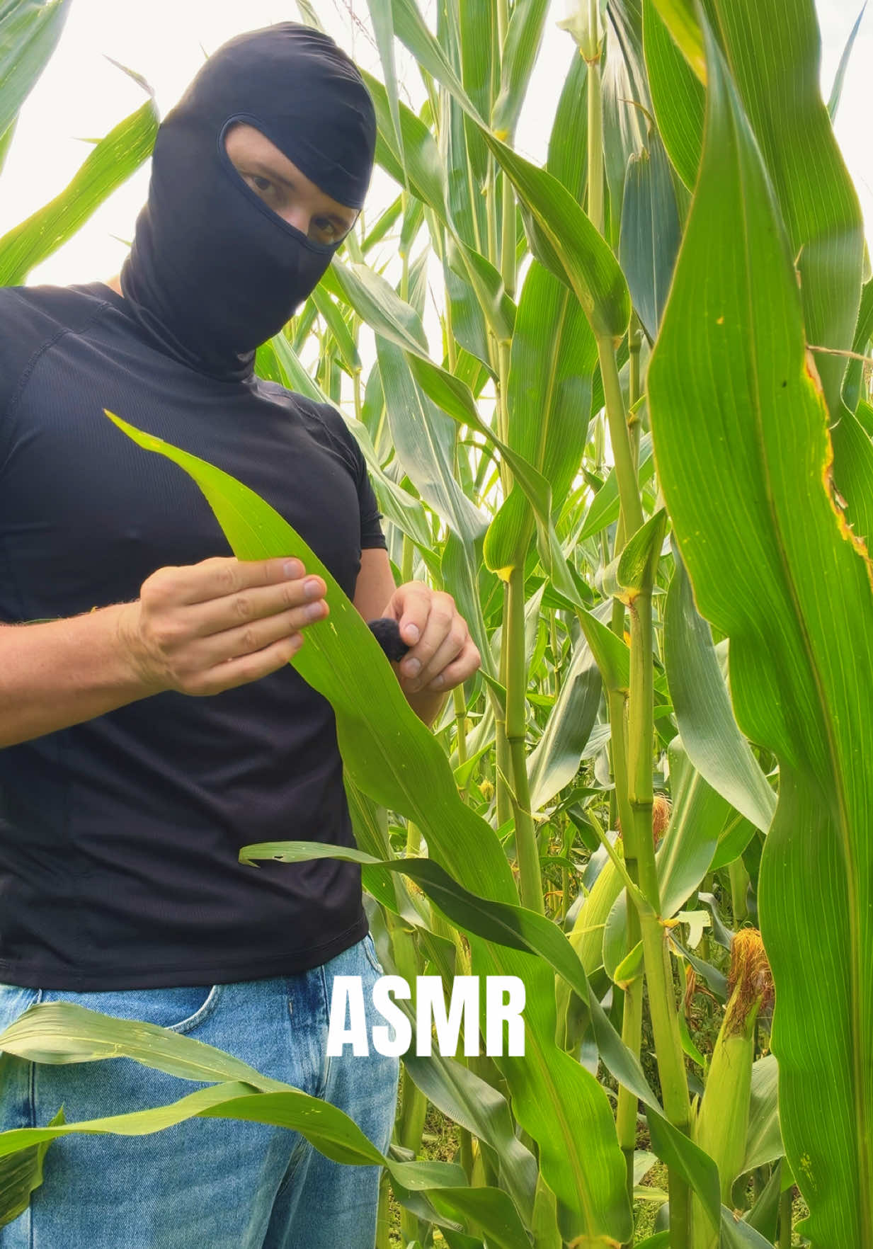 @MaskedASMR