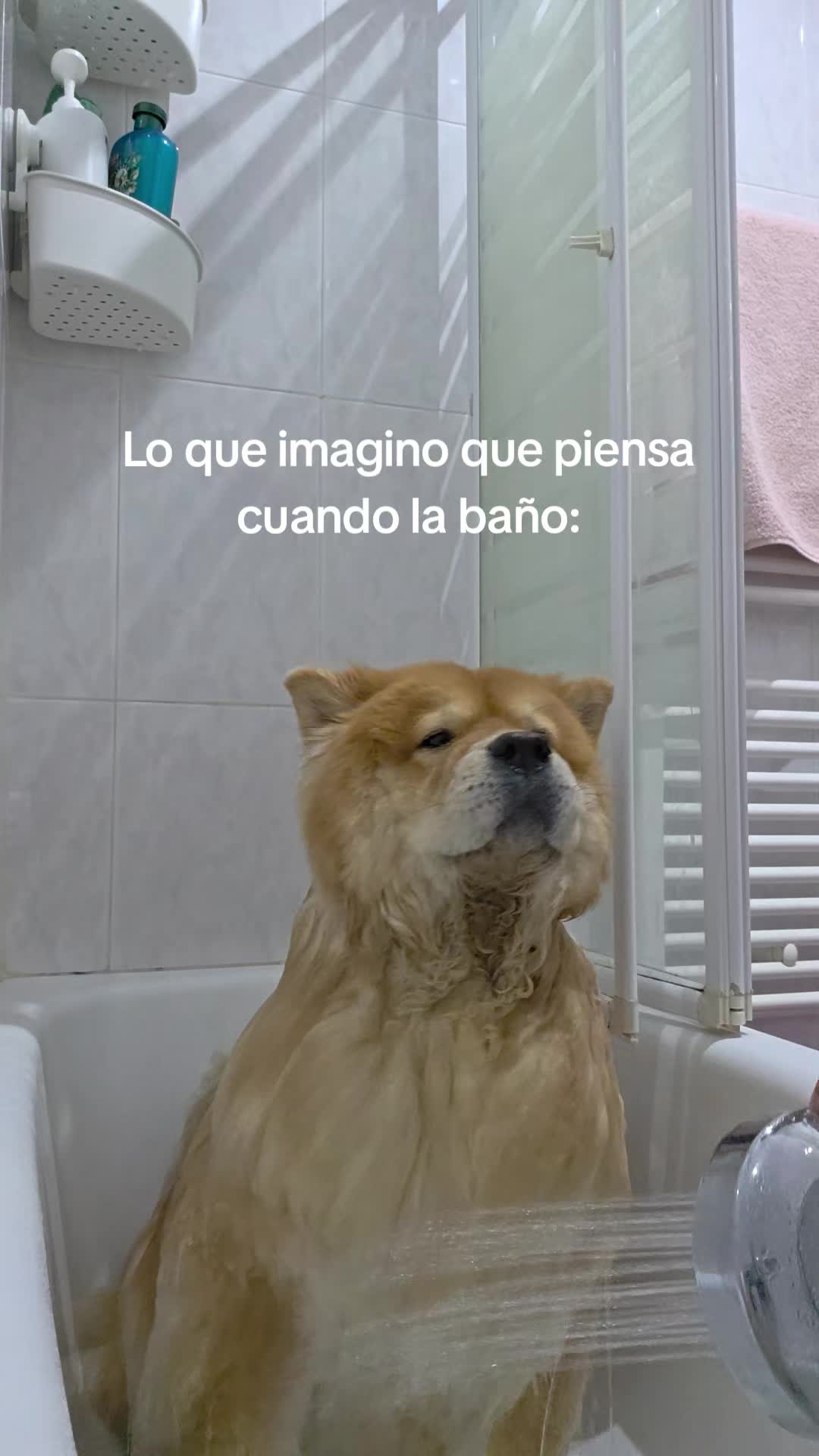 @Kenya y Daddy🐶