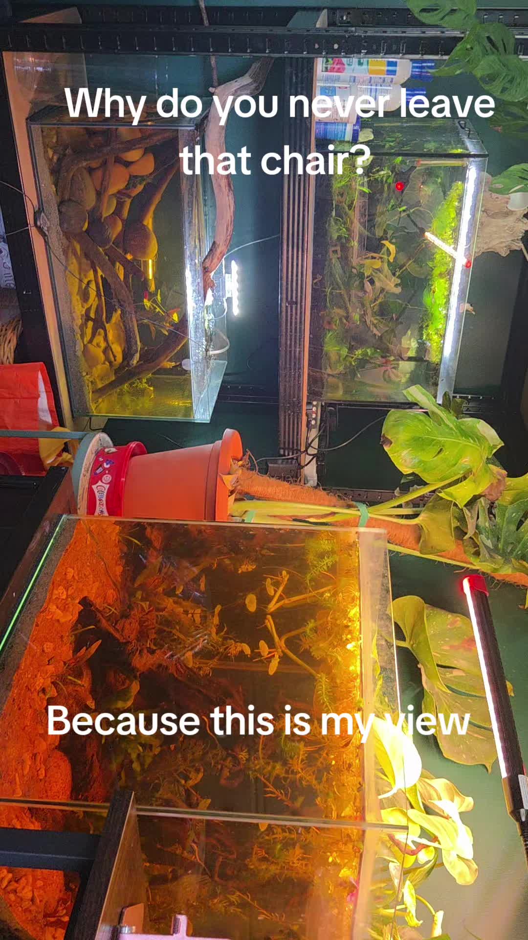 @ella aquatics