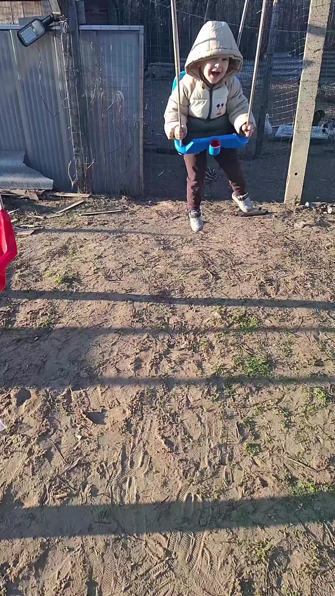 @_schuszter_alexandra_