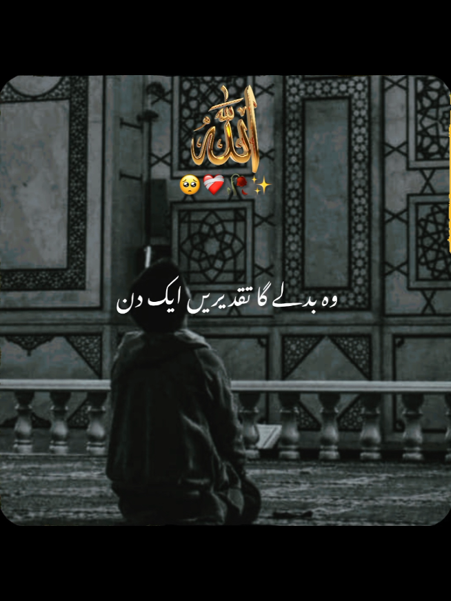 @✨Shahbaz-edit✨