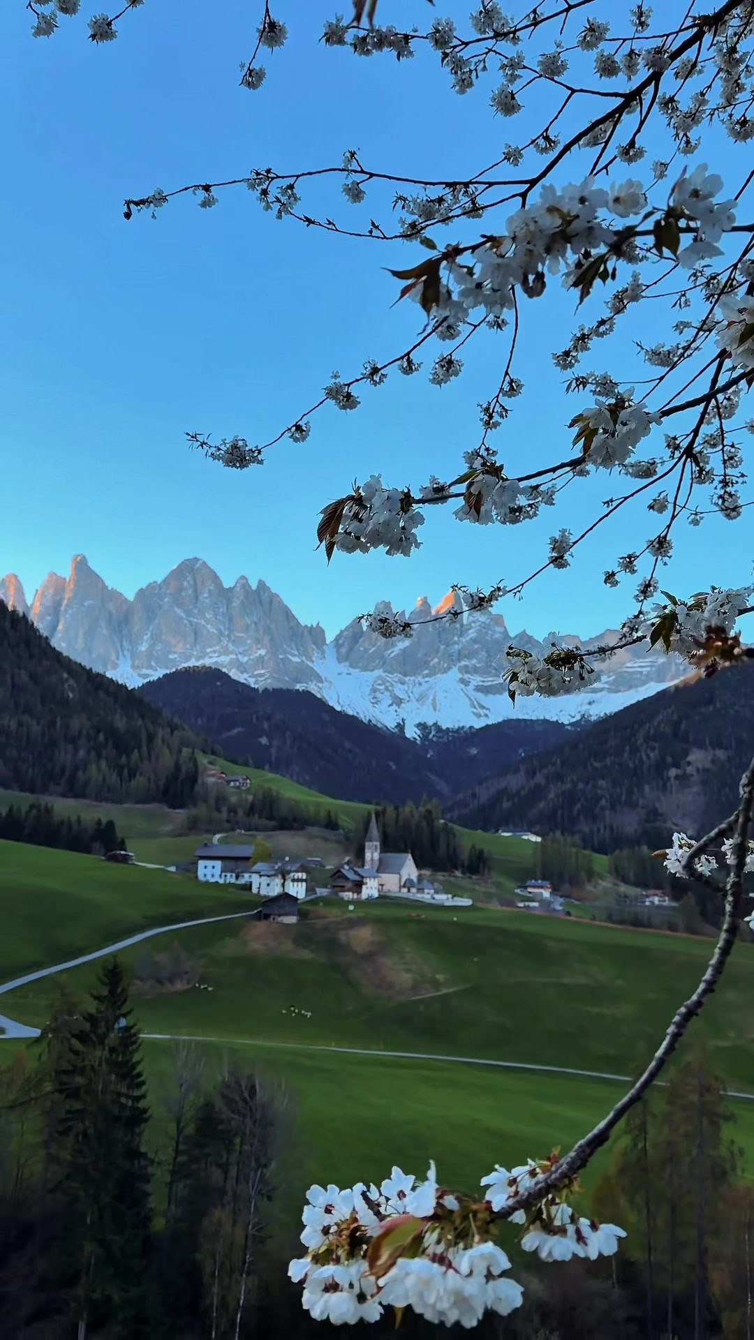 @Davide Anzimanni