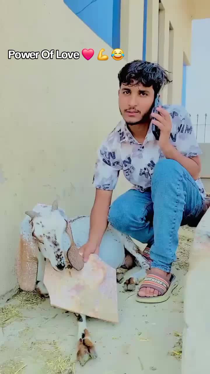 @jobifunny08