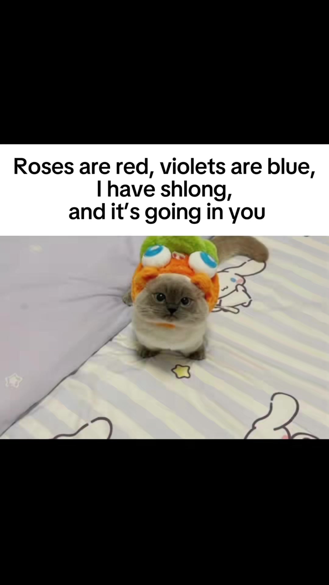 @xiaojie