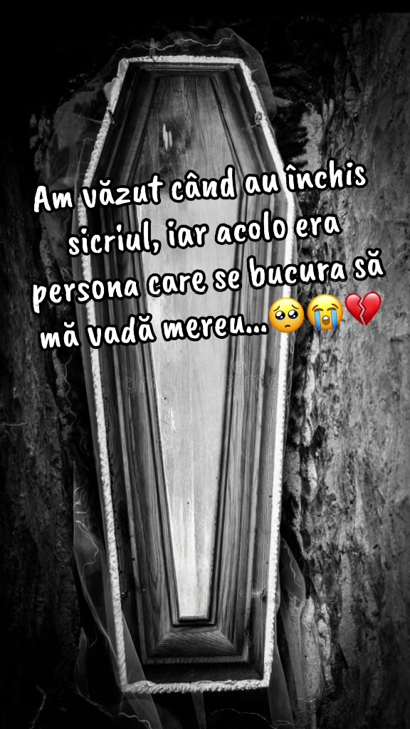 @⚜️ Răzvan Avr ⚜️