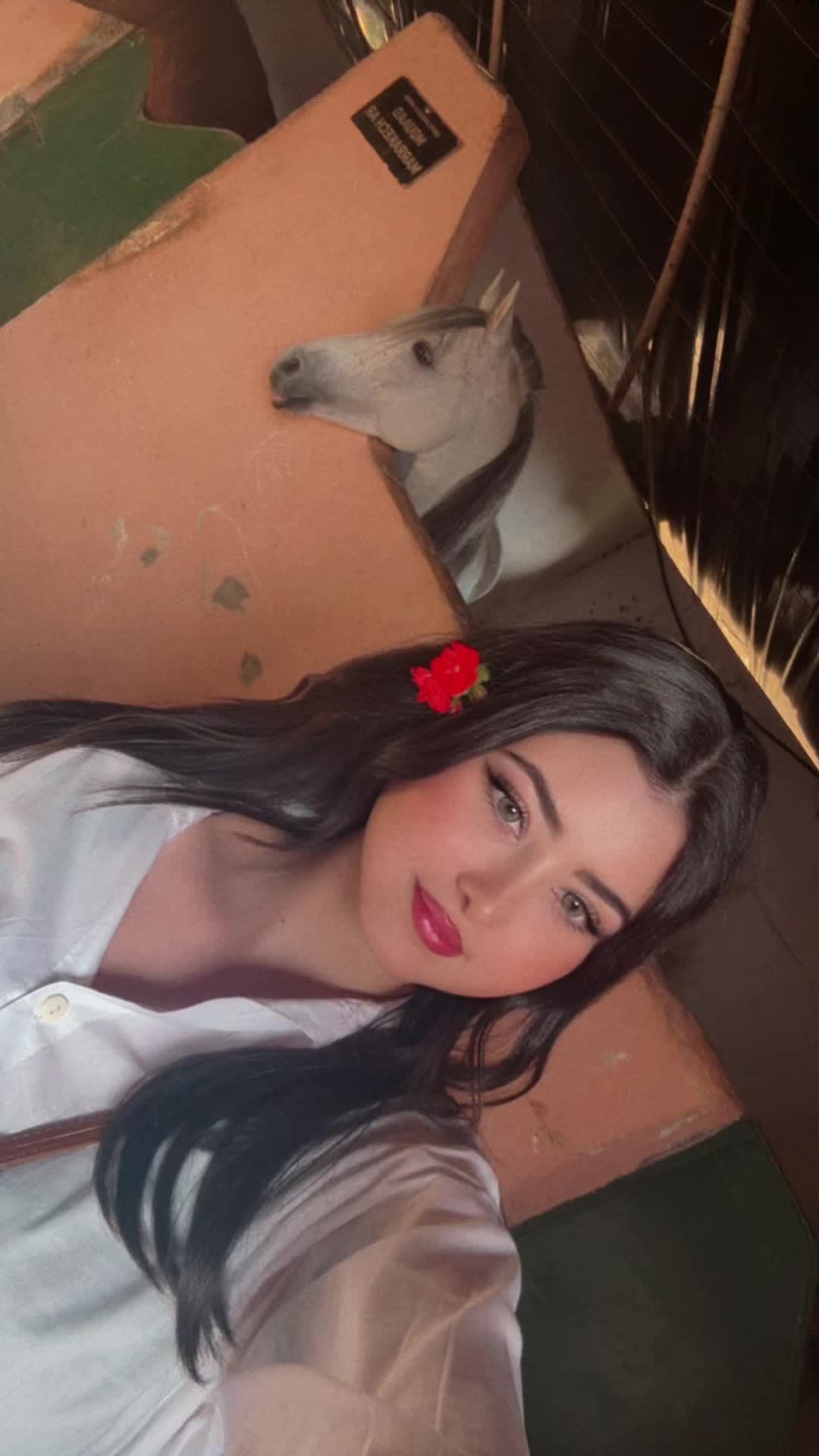 @__aseeeeel__