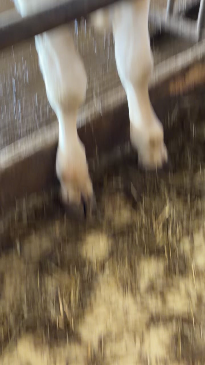 @Jennie Nilsson