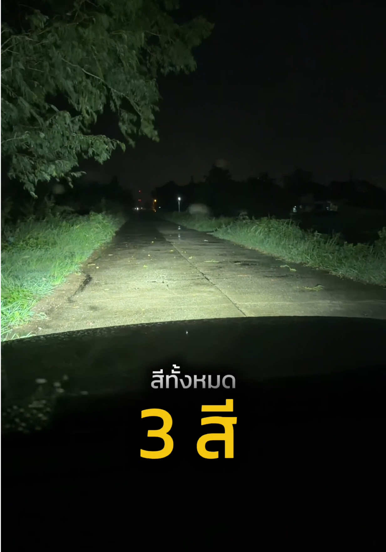 @Mos Apiwat