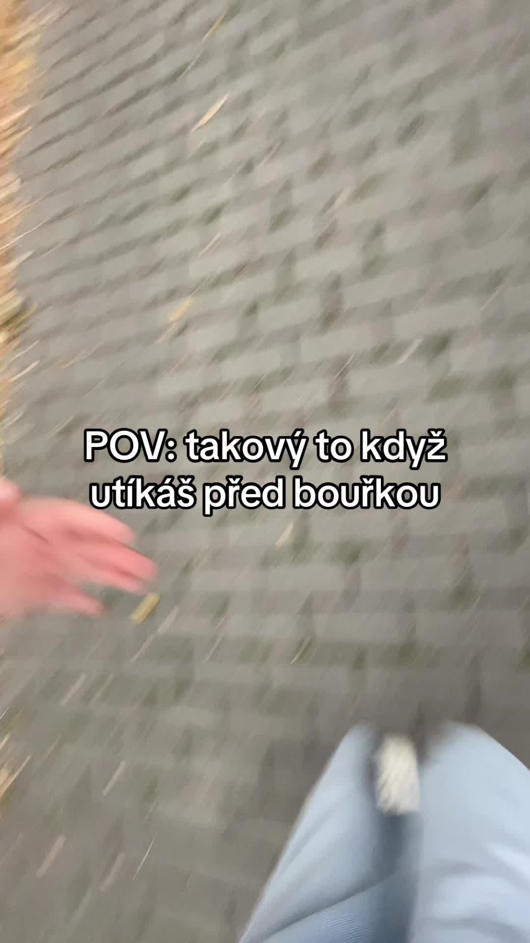 @🪽🖤